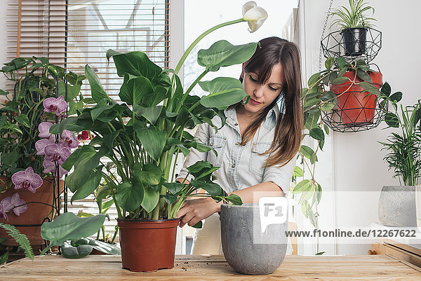 Woman caring for a peace lily