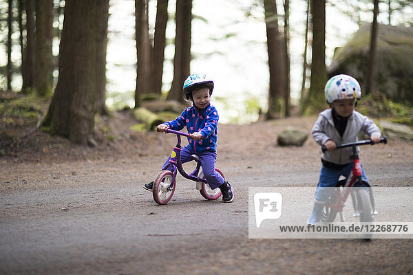 Toddlers riding children's bicycles on road in forest  Harrison Hot Springs  British Columbia  Canada