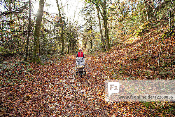 Frau geht mit Kinderwagen durch den Nationalen Wald von Carnoet während der Herbstsaison  Finistere  Bretagne  Frankreich
