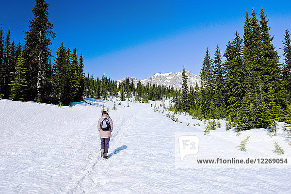Frau beim Spaziergang im Schnee  Banff National Park  Kanada