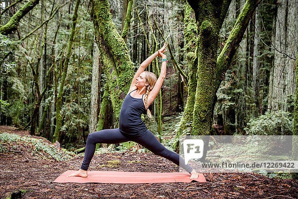 Young woman practicing warrior yoga pose in forest