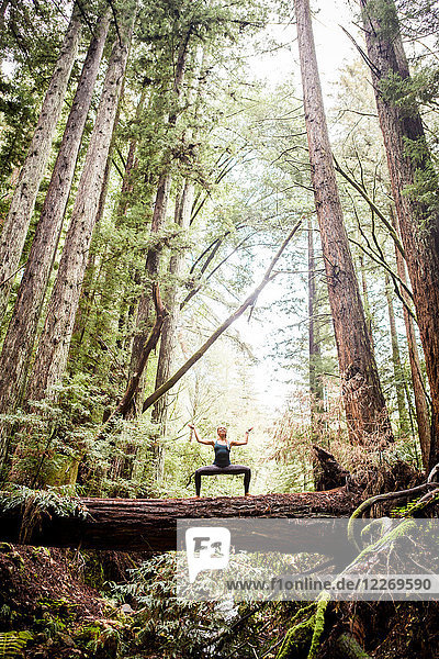 Young woman practicing yoga pose on top of log in forest  low angle view