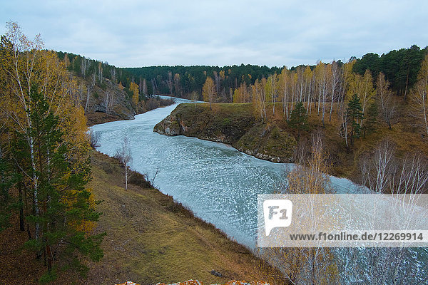 Autumn landscape with forests and river  Kislokan  Evenk  Russia