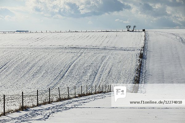 Snow on the fields of South Downs National Park  East Sussex  England.