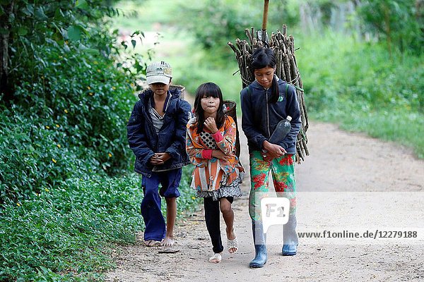 Bahnar (Ba Na) ethnic group. Children carrying wood for fire. Kon Tum. Vietnam.