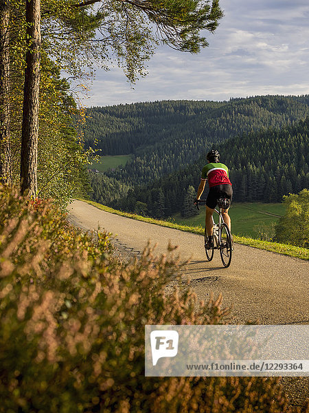 Man riding racing bicycle on cycling tour in the Middle Black Forest  Germany