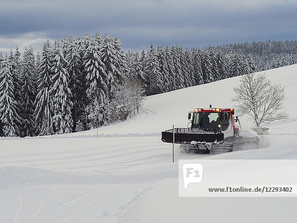 Spurgerät präpariert die Skispur Thurnerspur im Schwarzwald bei St. Märgen  Hochschwarzwald  Baden-Württemberg  Deutschland