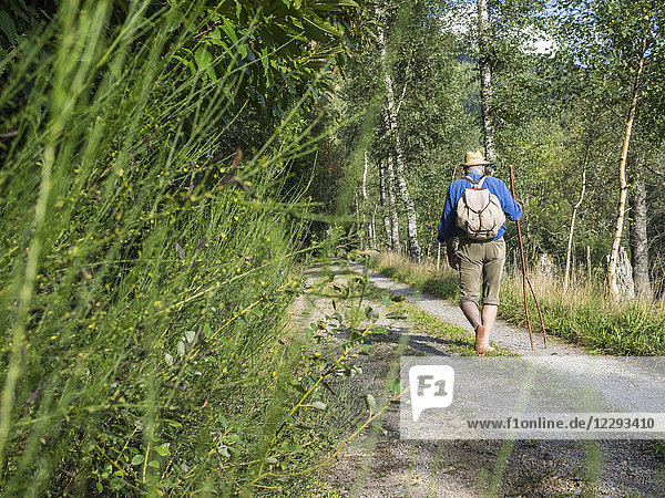 Rear view of senior man walking in Middle Black Forest  Baden-Württemberg  Germany
