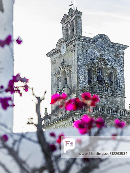 Kirche von Arcos de la Frontera mit blühenden Blumen im Vordergrund