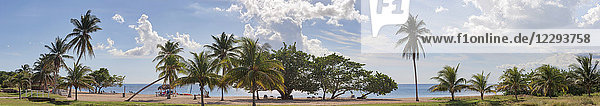 Blick auf den Strand und die Palmen  Playita Junco Sur