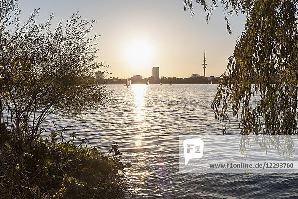 Scenic view of alster lake during sunset