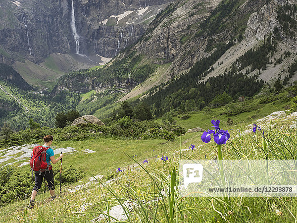 Woman hiking in the High Pyrenees on a single trail with view over Cirque de Gavarnie  France