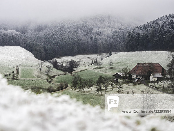 Farmhouse Hofbauernhof  snowy meadows and forest in little village in the Middle Black Forest  Elzach-Yach  Baden-Württemberg  Germany.