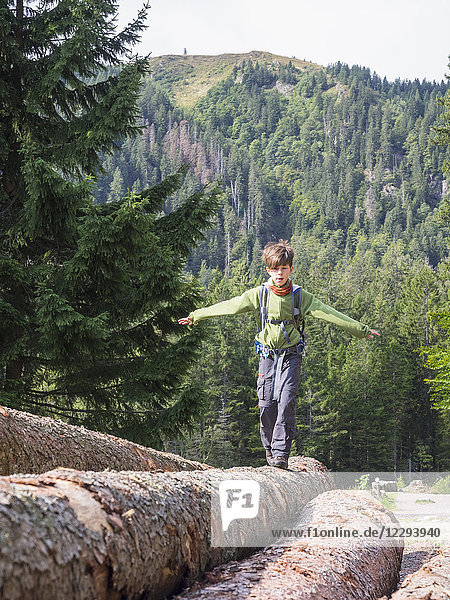 Mädchen balanciert auf umgestürztem Baumstamm  Wanderung im Schwarzwald  Feldberg  Baden-Württemberg  Deutschland
