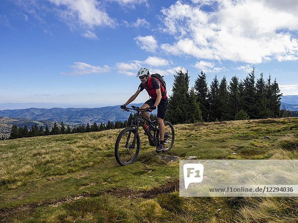 Mountain biker cycling on single trail on Ringelbuhlkopf  Alsace  France