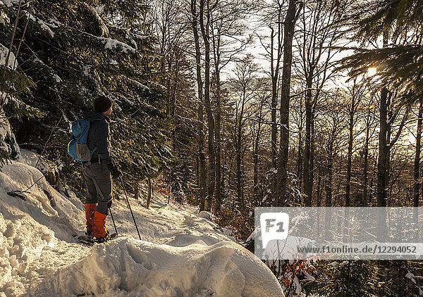 Man hiking with snowshoes in the Black forest  Mount Kandel  Baden-Württemberg  Germany