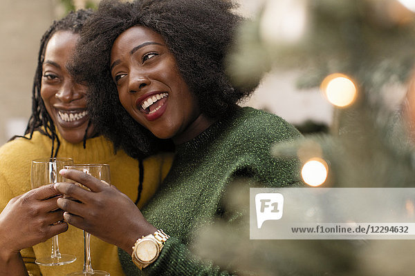 Happy  affectionate women sisters drinking wine next to Christmas tree
