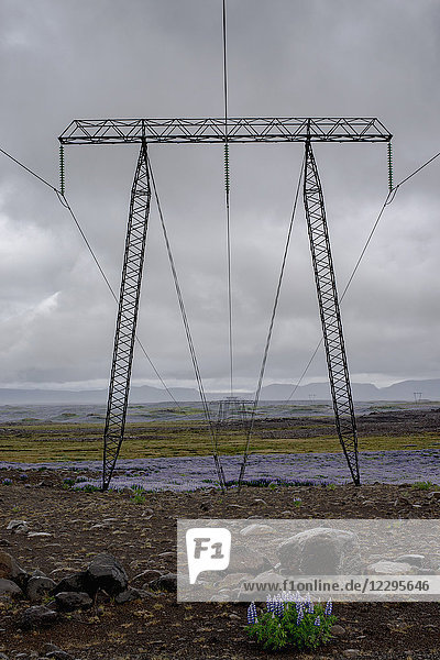 Strommast auf dem Feld gegen bewölkten Himmel  Hochland  Island