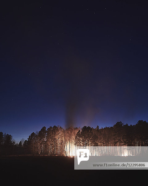 Bäume brennen nachts im Wald  Zeya  Amur  Russland