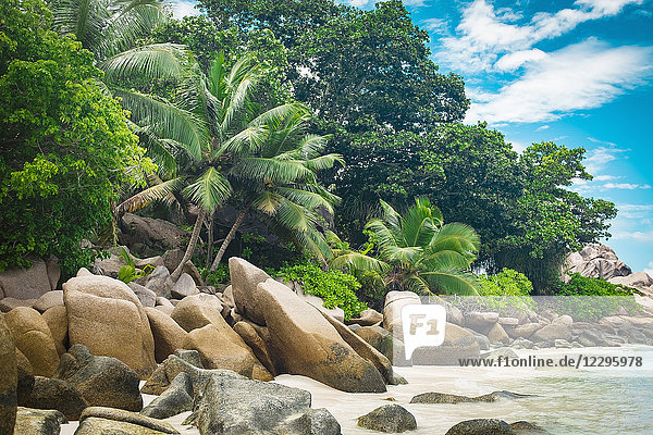 Blick auf Bäume und Felsen am Strand gegen den Himmel  Insel La Digue  Seychellen