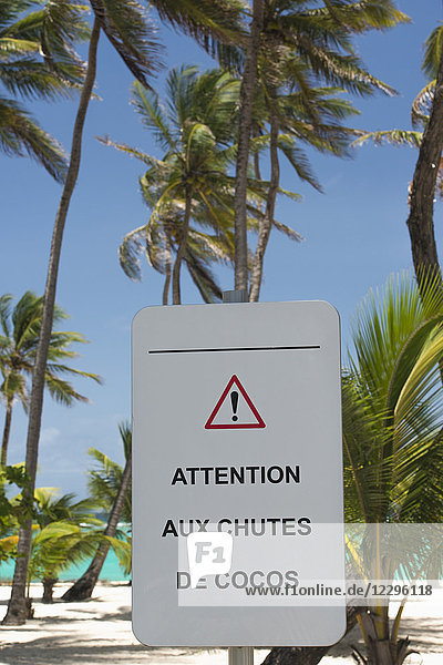 Low angle view of warning sign against palm trees at beach  Guadeloupe  France