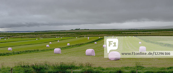 Scenic view of agricultural field with hay bales against cloudy sky  Highlands  Iceland