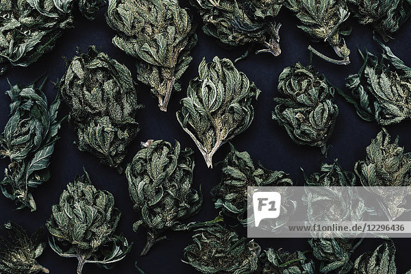 Vollbild-Aufnahme von getrockneten Marihuana-Blättern auf dem Tisch