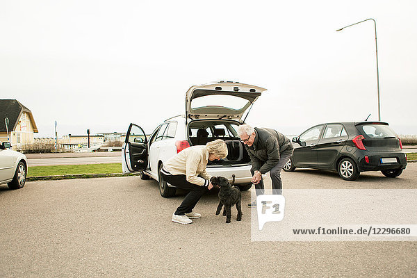 Senior couple playing with Schnauzer while standing by car in parking lot against sky