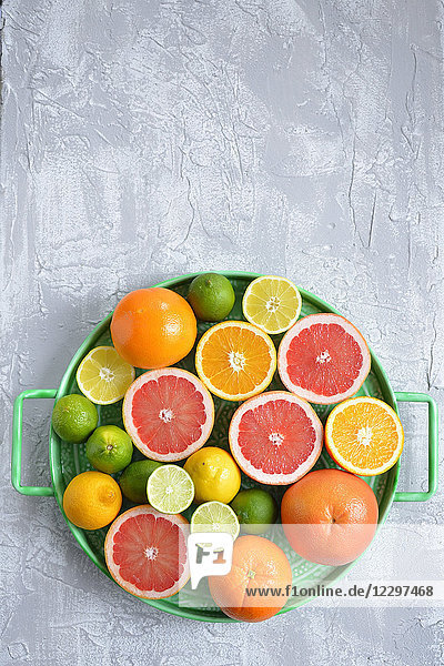 Orangen Grapefruit Limetten Zitronen auf einem Tablett Cocktail Zitrusfrüchte