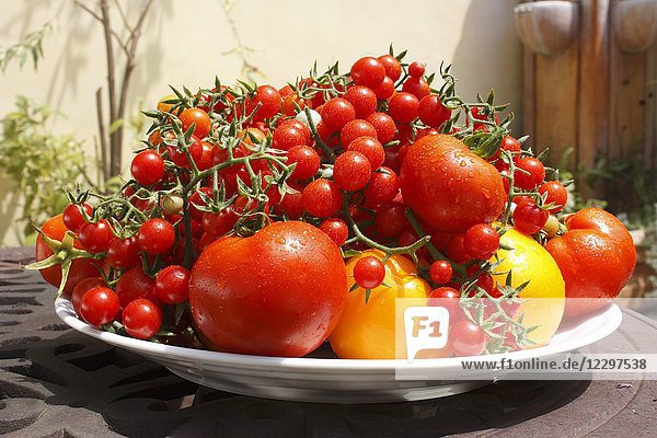 Große Platte mit verschiedenen Tomaten auf einem Tisch im Freien