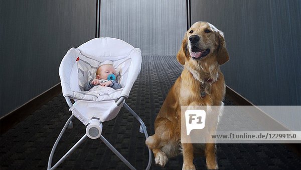 Baby schaukelt in der Wiege neben dem Hund im Hausflur