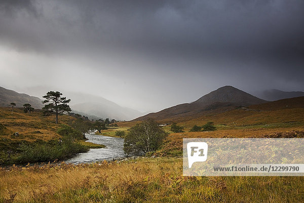 Tranquil landscape with stream  Glen Strathfarrar  Scotland