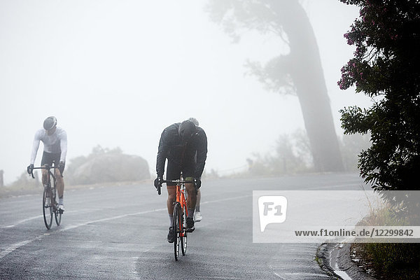 Dedicated male cyclists cycling on rainy road