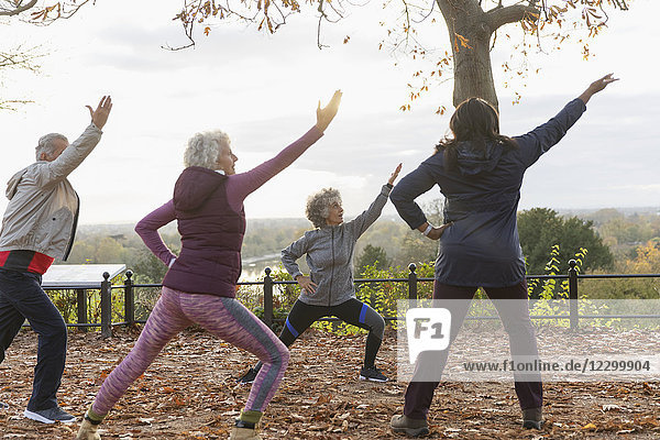 Active seniors practicing yoga in autumn park