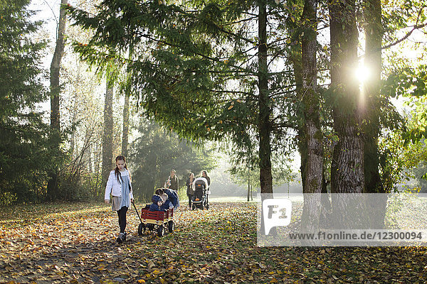 Young girl pulling cart with babies in park with family walking in background