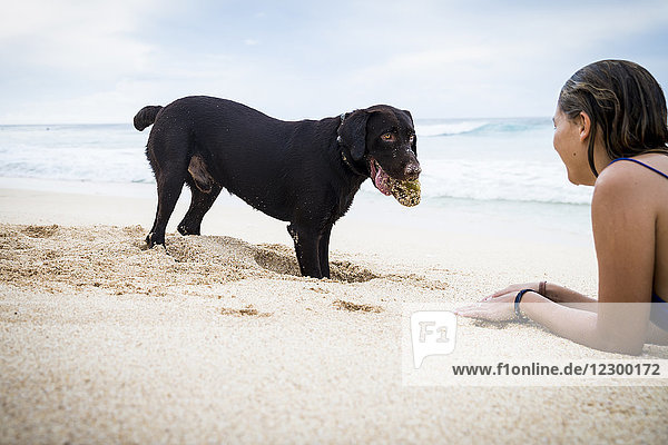 Frau spielt zusammen mit Hund am Strand