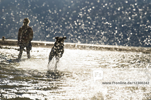 Frau und Hund spielen zusammen im Fluss