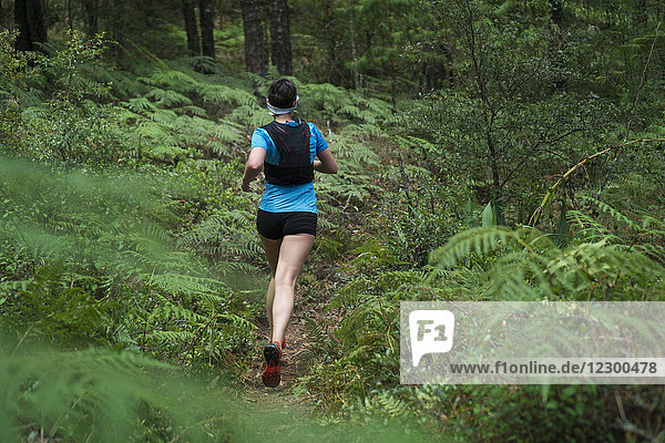 Rear view of mature woman trail running through forest  Rancho Santa Elena  Hidalgo  Mexico