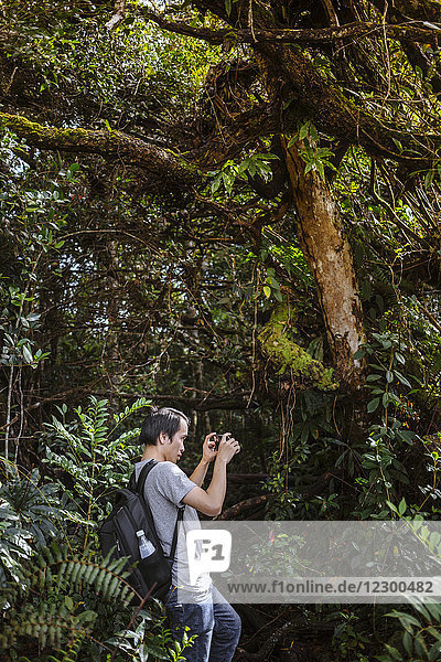 Junger asiatischer Mann  der ein Handyfoto im Wald macht