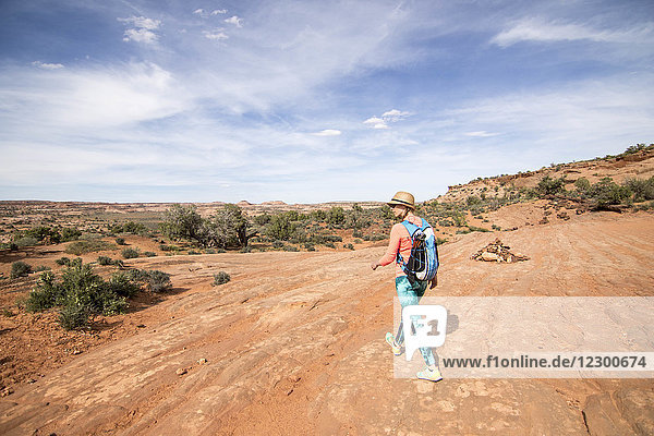 Rear view of lone woman backpacking through desert at Grand Staircase-Escalante National Monument  Utah  USA