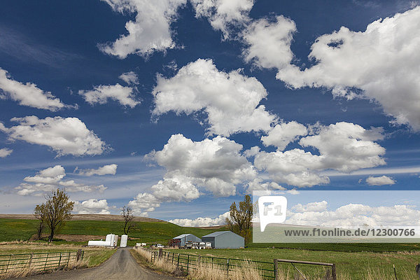 Bauernhof unter blauem Himmel mit Wolken  Palouse  Washington State  USA