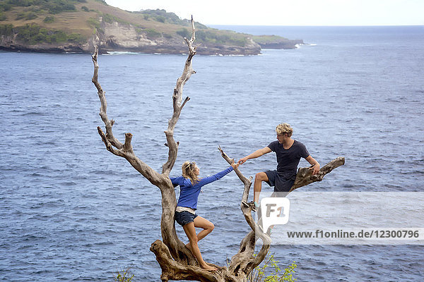 Erwachsener Mann und Frau klettern auf einen kahlen Baum an der Meeresküste  Nusa Penida  Bali  Indonesien