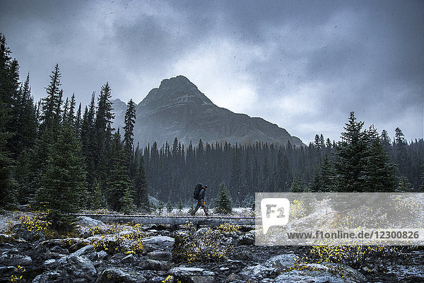 Backpacker passes a wooden bridge over a dried and rockie river bed in British Columbia Yoho National Park. Mount Schaffer in background.