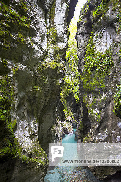 Majestätische Naturkulisse der Tolmin-Schlucht im Triglav-Nationalpark  Slowenien