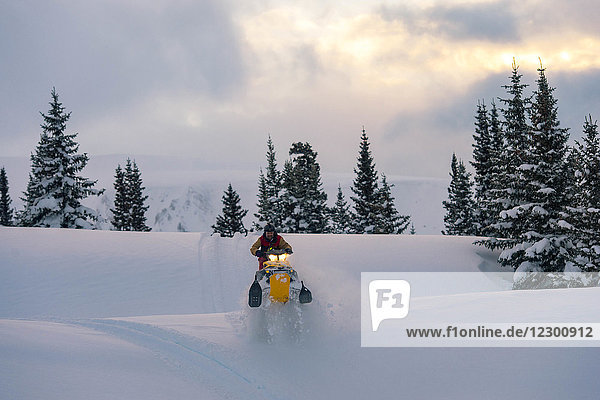 Junger Mann fährt Schneemobil im schneebedeckten Hinterland  Colorado  USA