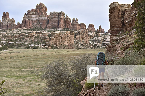 Female backpacker hiking in Canyonlands National Park with Needles rock formation in background  Moab  Utah  USA