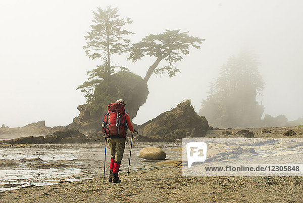 Rückansicht eines Rucksacktouristen  der am Strand entlang wandert  mit Bäumen  die auf den Felsvorsprüngen im Hintergrund wachsen  West Coast Trail  Pacific Rim National Park auf Vancouver Island  British Columbia  Kanada