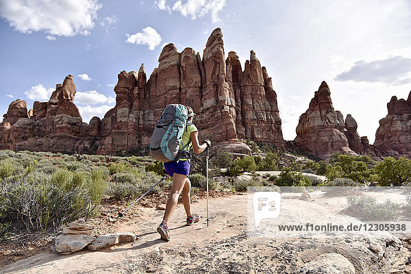 Wanderin  die gegen die Needles-Felsformation im Canyonlands-Nationalpark  Moab  Utah  USA  läuft