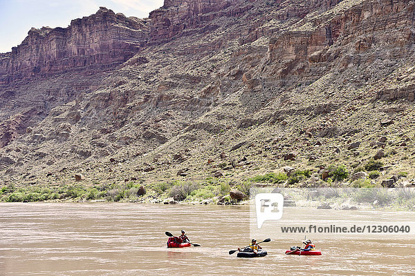 Drei abenteuerlustige Frauen beim Rafting auf einem Fluss im Canyonlands National Park  Moab  Utah  USA