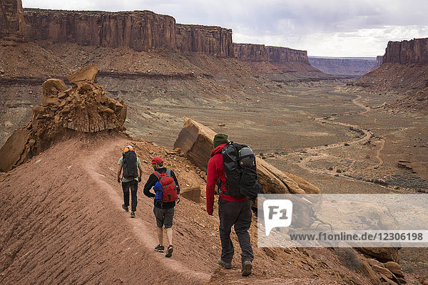 Rückansicht von drei Männern beim Wandern im Canyonlands National Park  Moab  Utah  USA